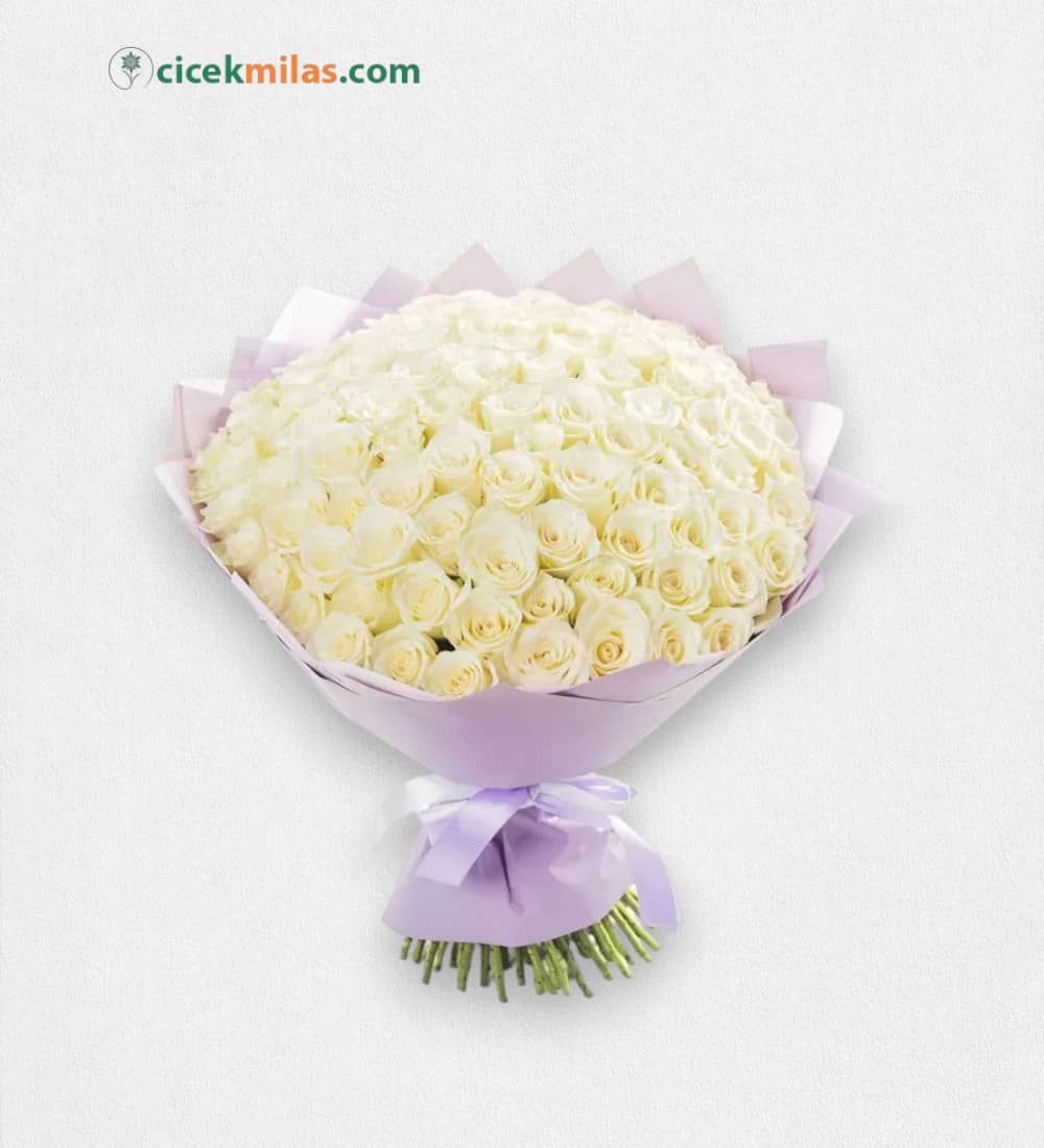 101 Adet Beyaz Gül Buketi