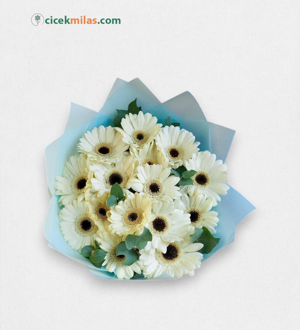 15 Adet Beyaz Gerbera Buketi