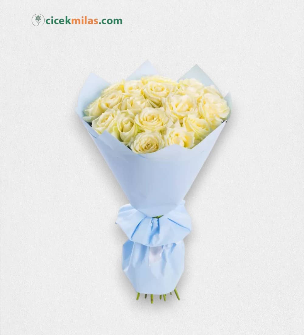 17 Adet Beyaz Gül Buketi