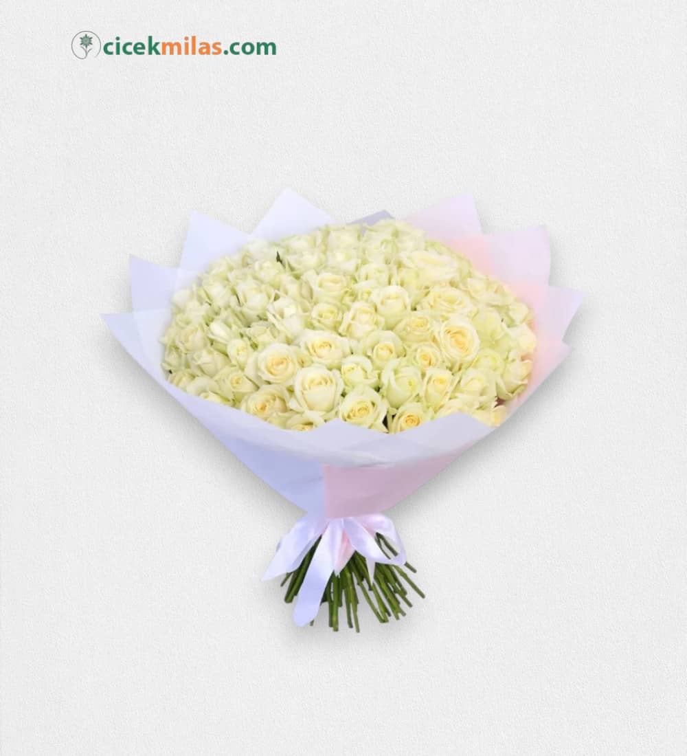 81 Adet Beyaz Gül Buketi