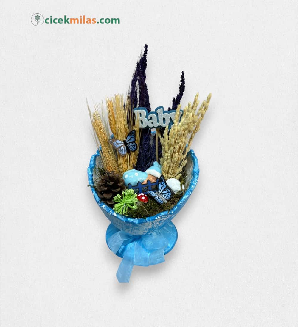 Yarım Elma Saksıda Erkek Bebek Teraryum