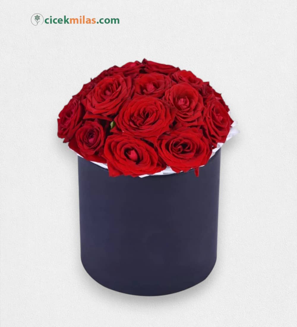 Siyah Kutuda 15 Kırmızı Gül