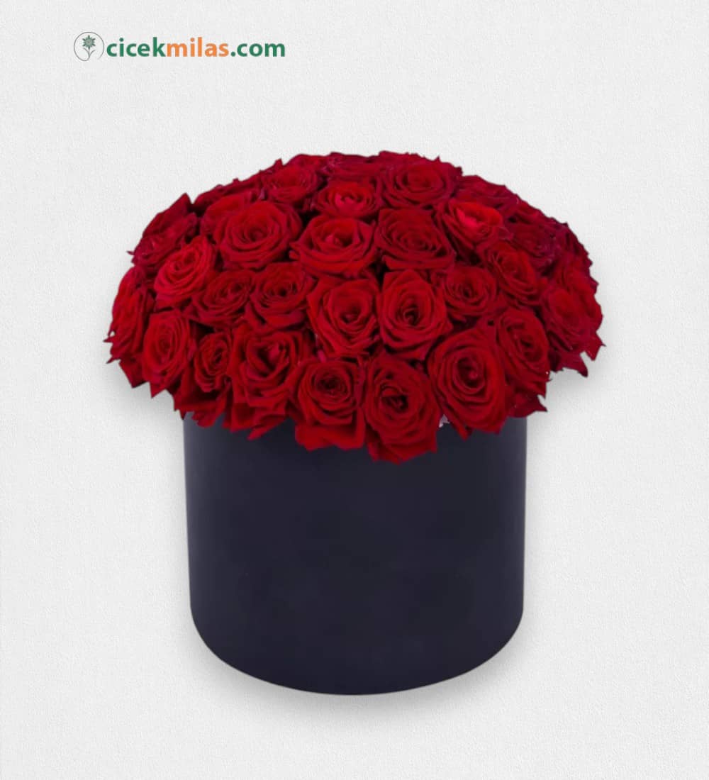 Siyah Kutuda 51 Kırmızı Gül