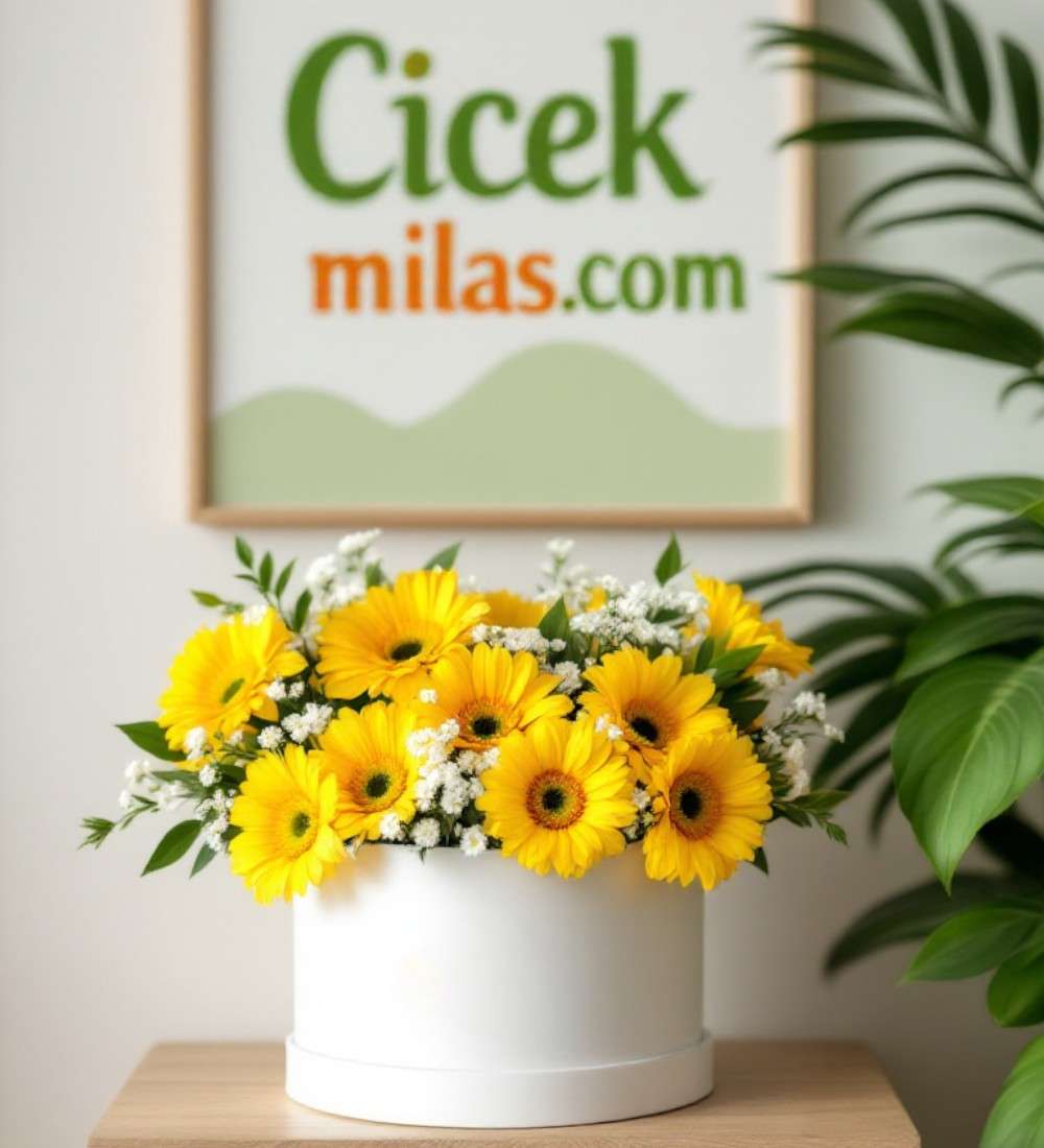 Beyaz Kutuda 11 Sarı Gerbera — 2