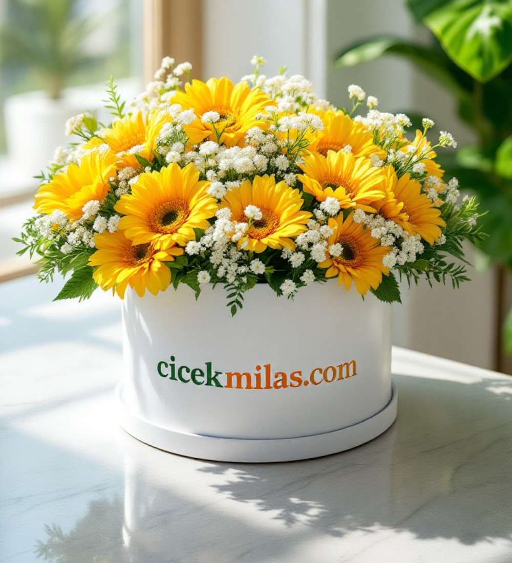 Beyaz Kutuda 13 Sarı Gerbera