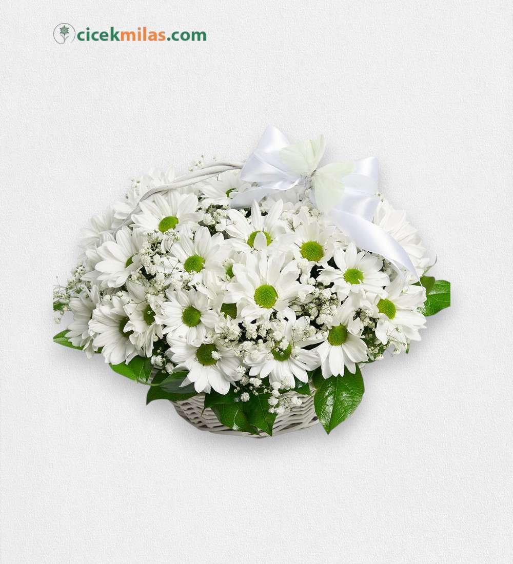 Beyaz Sepet İçerisinde Beyaz Papatya