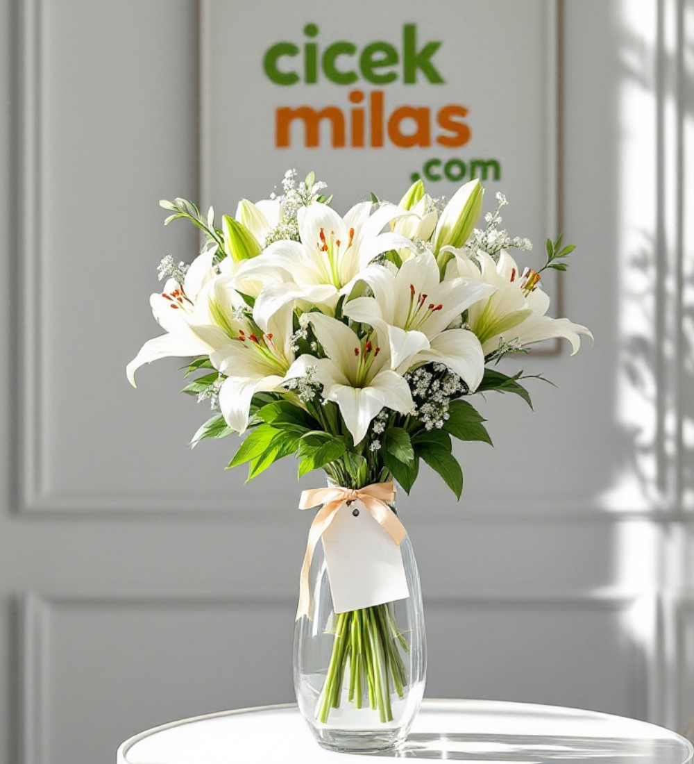 Silindir Cam Vazoda 13 Beyaz Lİlyum