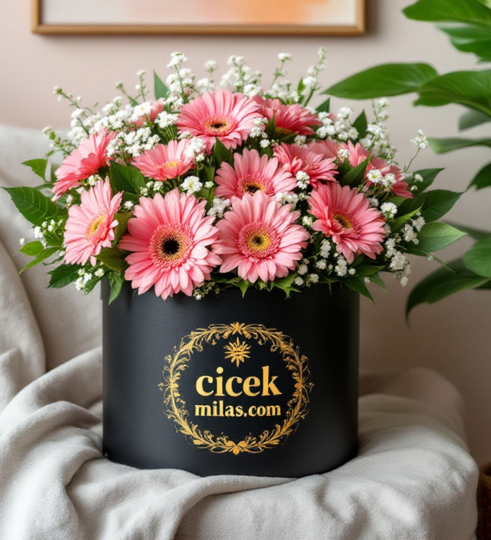 Siyah Kutuda 13 Pembe Gerbera — 2
