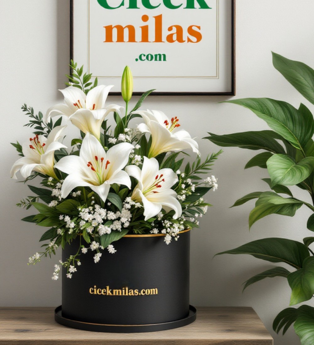 Siyah Kutuda 5 Beyaz Lilyum